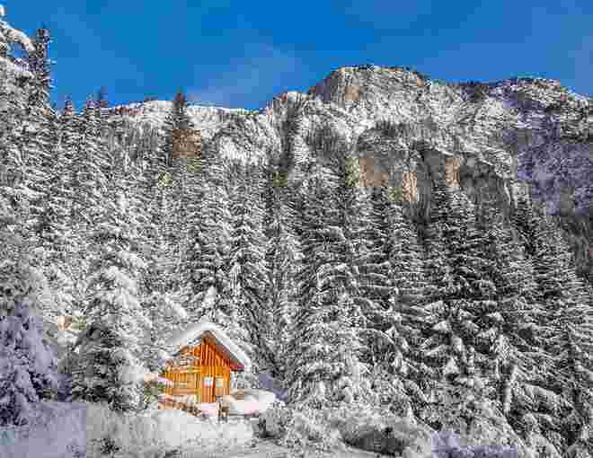 Bienenhütte im Winterkleid 