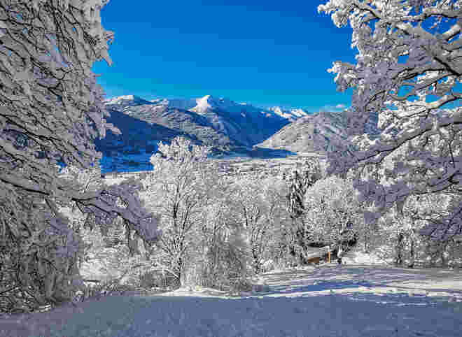 Winteridylle 