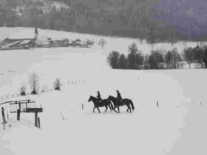 Winterlicher Ausritt