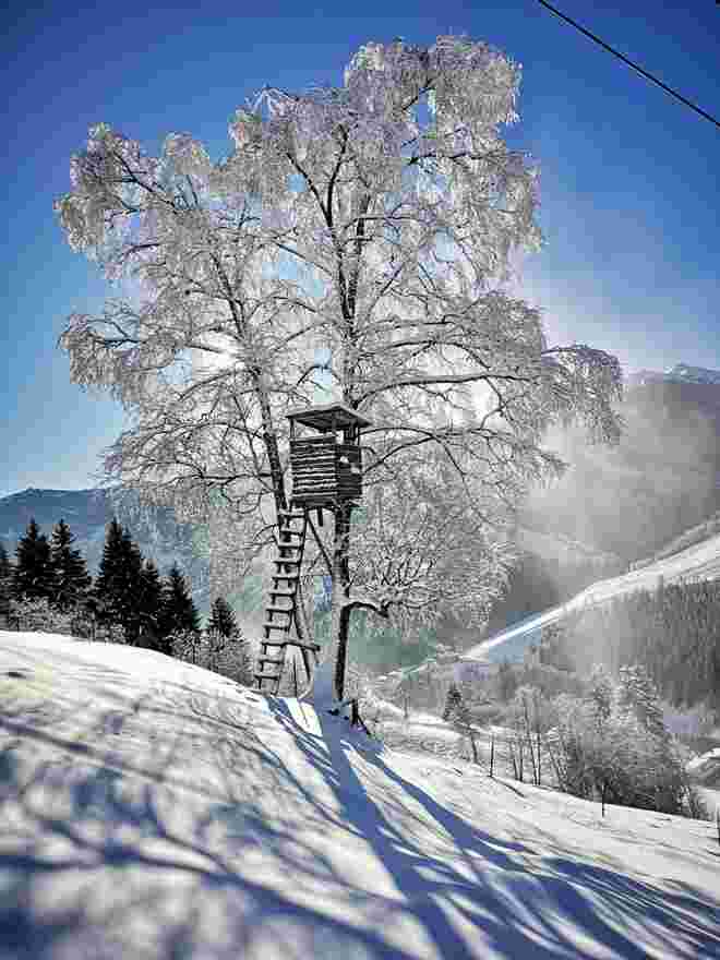 Tiefwinterliche Idylle !