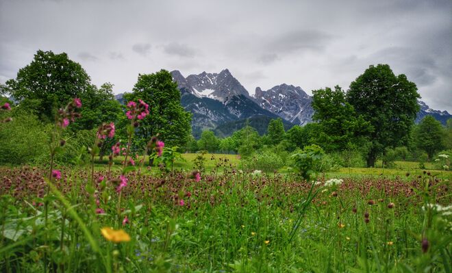 Die schöne Pinzgauer Heimat 