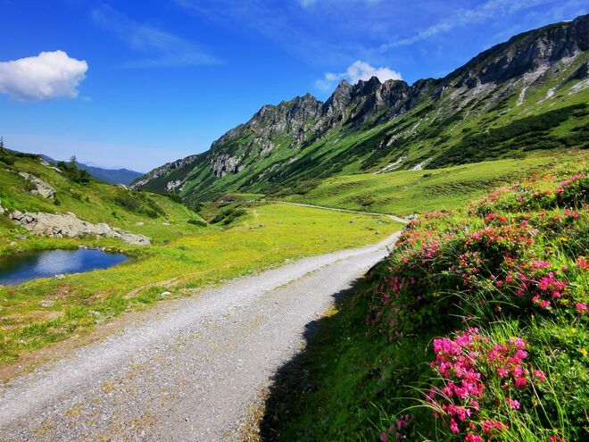 Ein perfekter Julitag