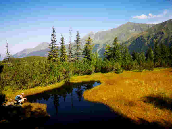 Wandern im Wiegenwald am Enzingerboden 