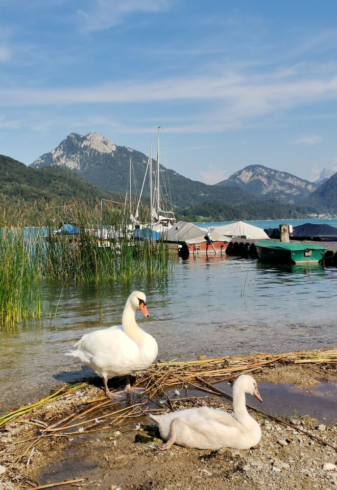 Ein schönes Platzerl