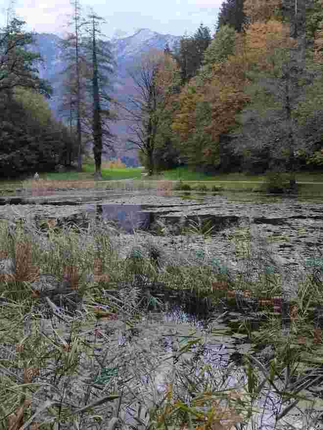 Herbststimmung