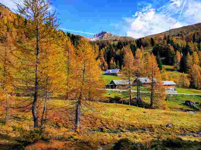 Oktobergold