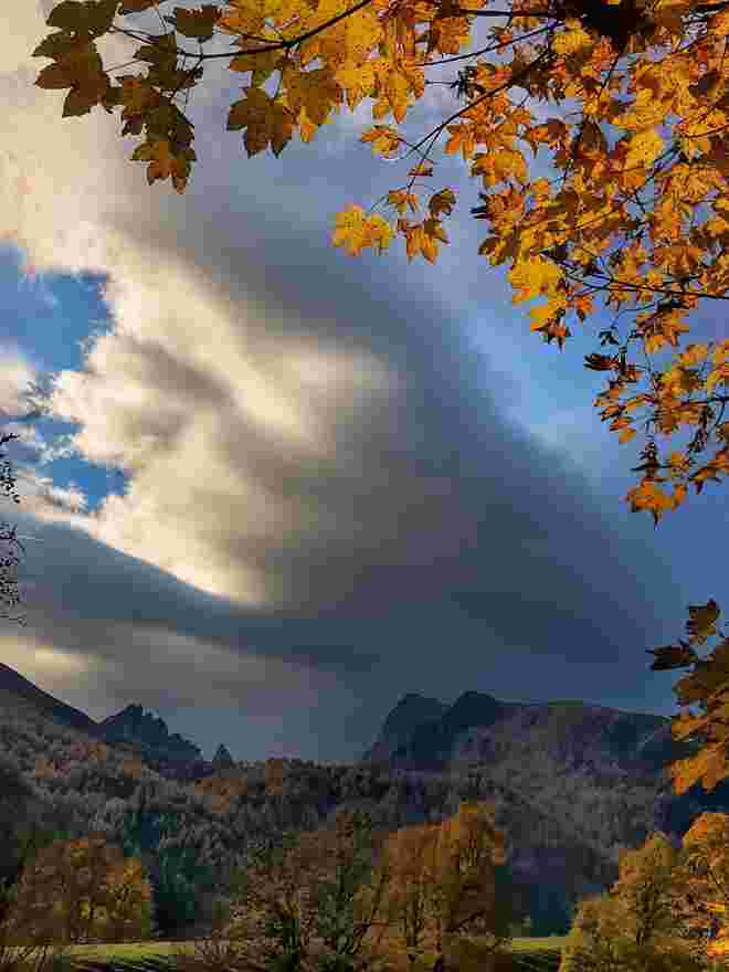 Herbstlich