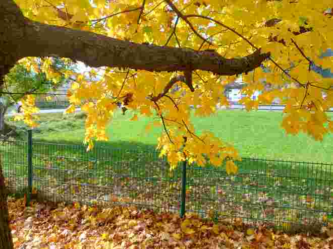 Die Natur malt in den schönsten Farben 