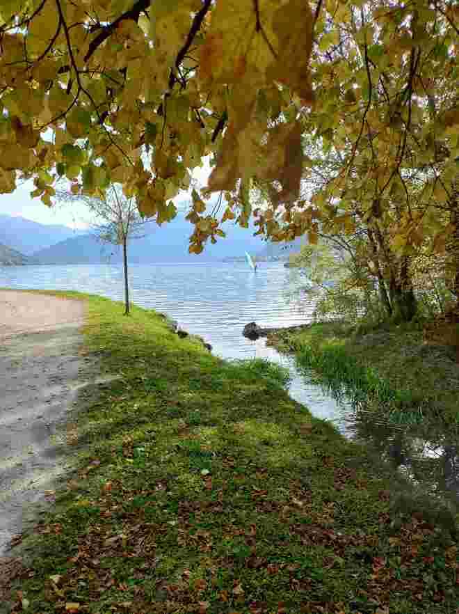 Herbstspaziergang am Zellersee