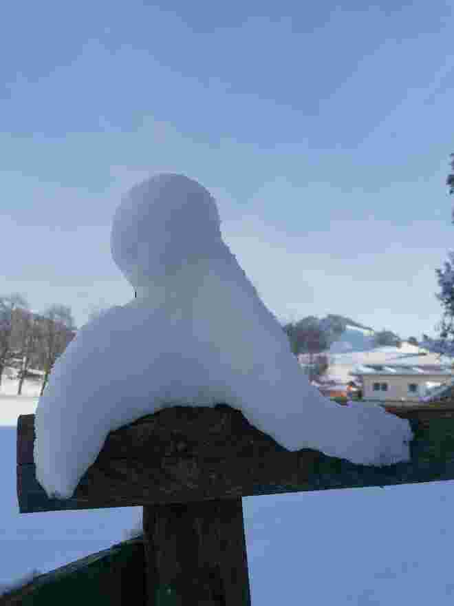 Schneeengel gelandet! 