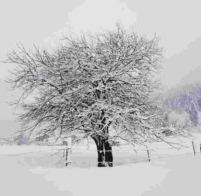 Tiefster Winter