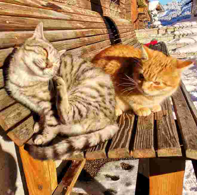 Wintersonne