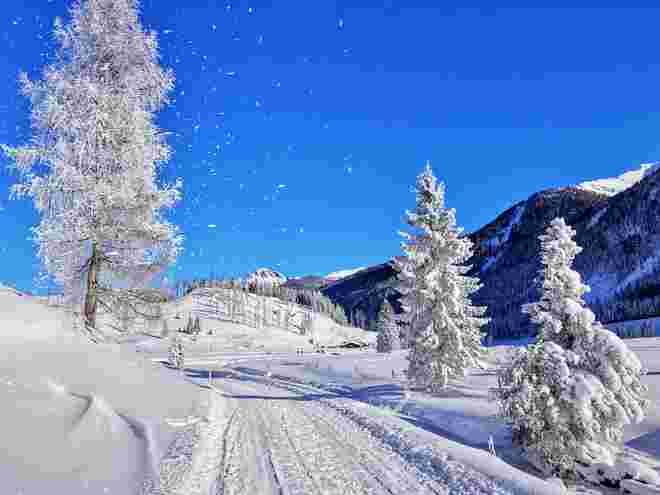 Winterzauber 