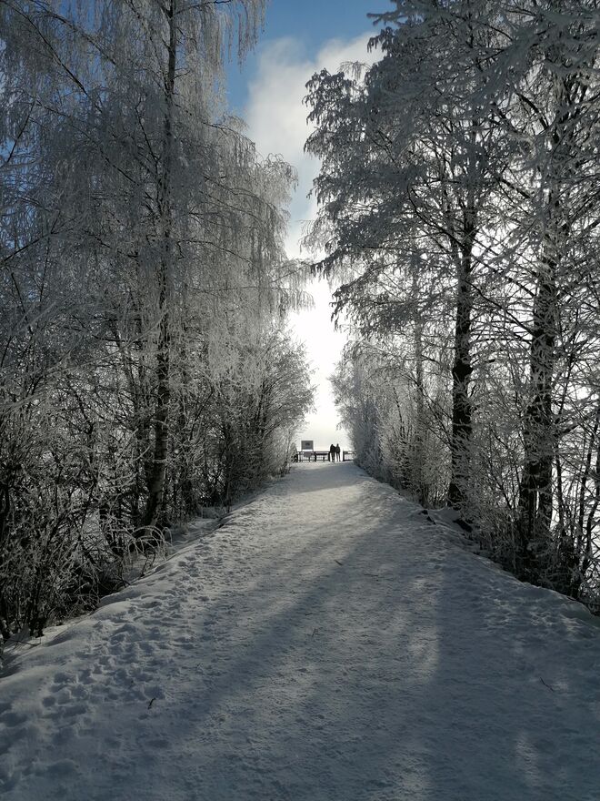 Walking in the Winter Wonderland! 