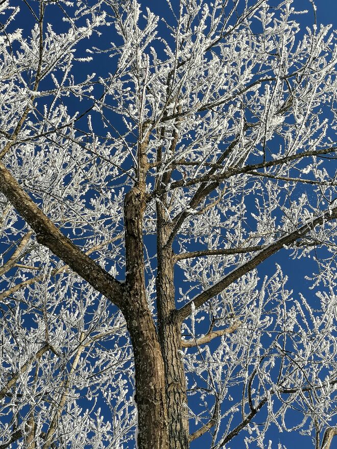 Glitzernde Eiskristalle 