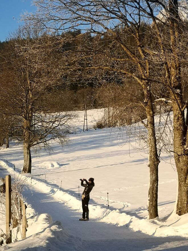 Wintermotive festhalten