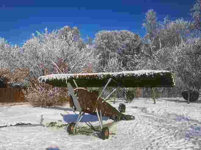 Winterstarre
