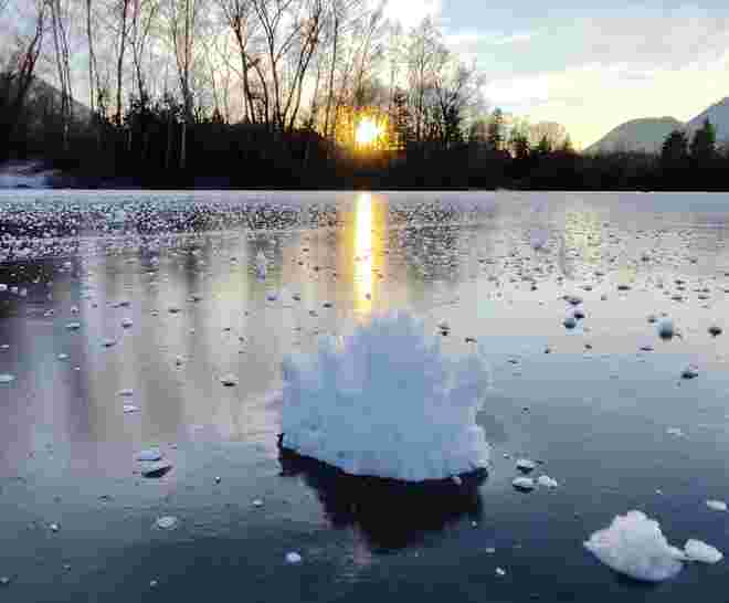 Eisblume