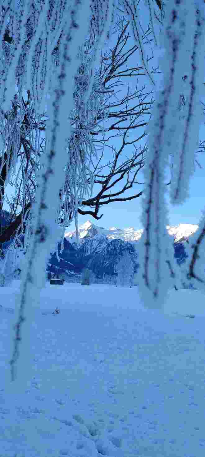 Kitzblick