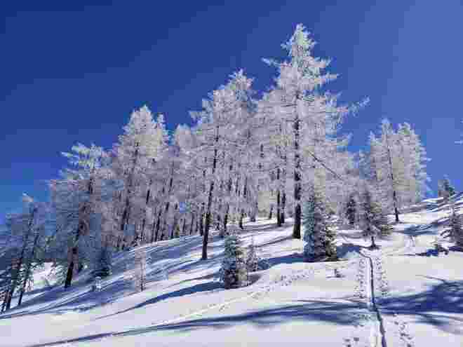 Winterzauber