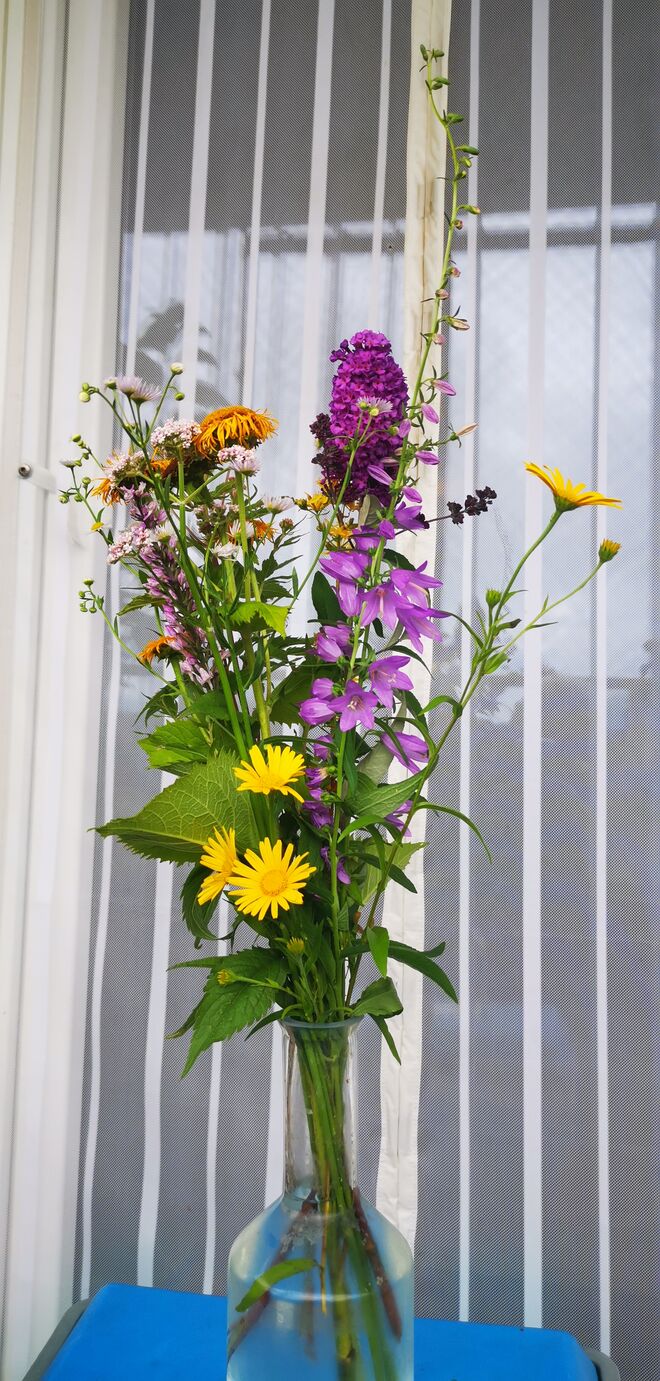 Büschel vom Wegesrand