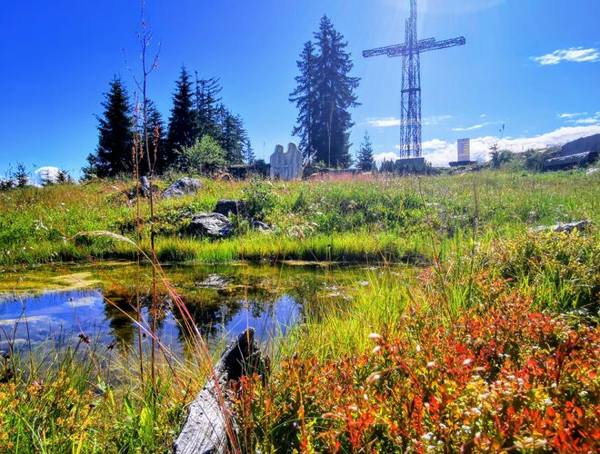 Herbststimmung im Juli