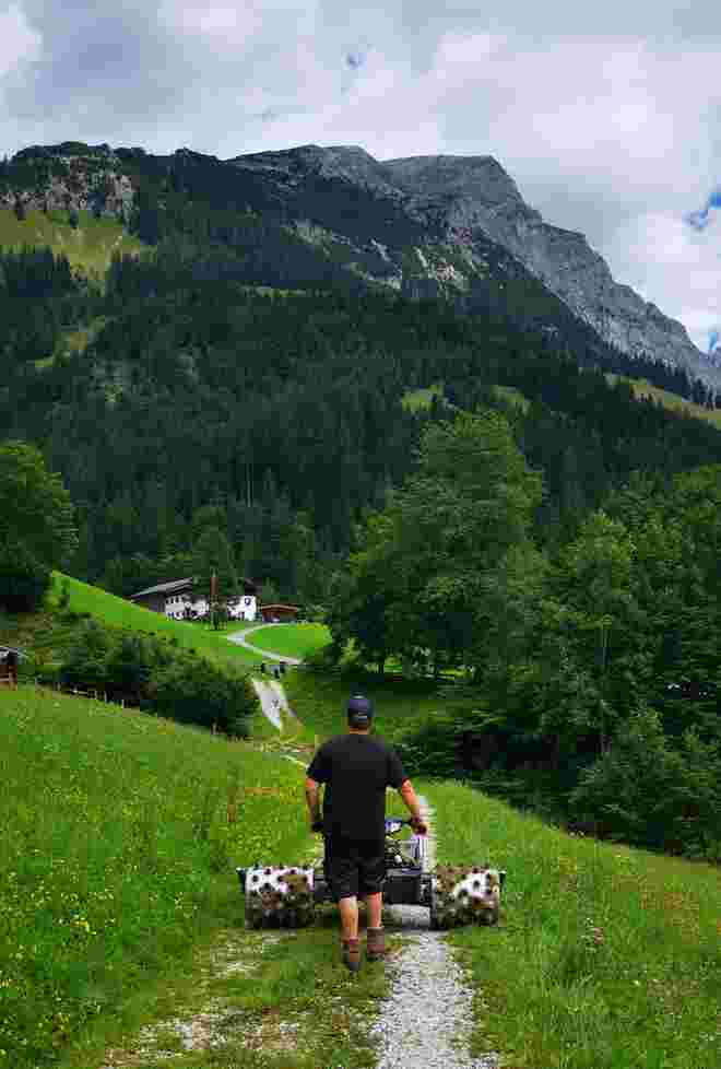 Schwerarbeit in der Idylle