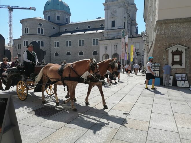 Horses! Jo, hoaß is!! 