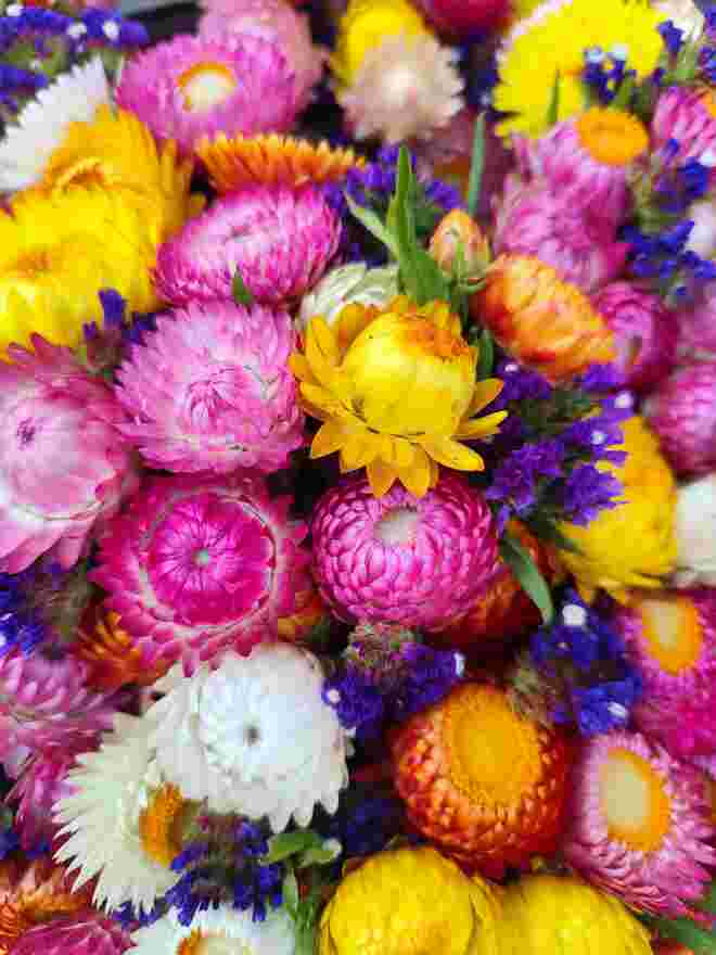 Herbstblumen