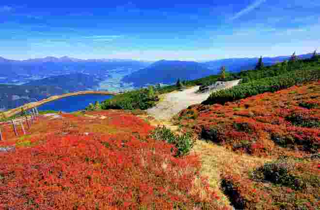 Mitten im Paradies 