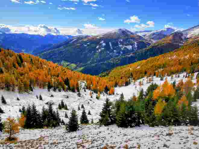 Lärchengold und Schnee 