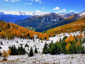 Lärchengold und Schnee 