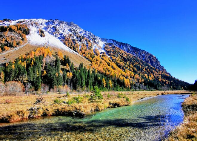 Goldener Novembertag