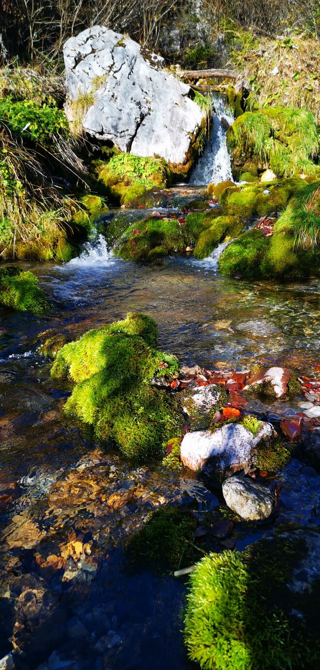 Heile Welt am Willi Schwaiger Weg Hintertal