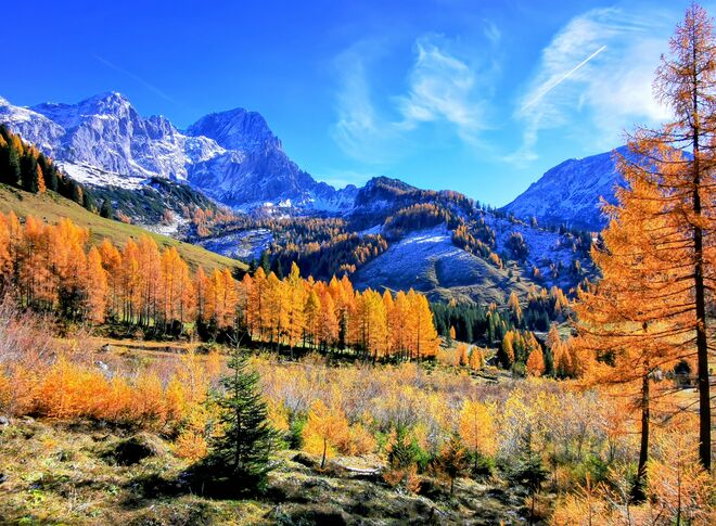 Spätherbst in Filzmoos 