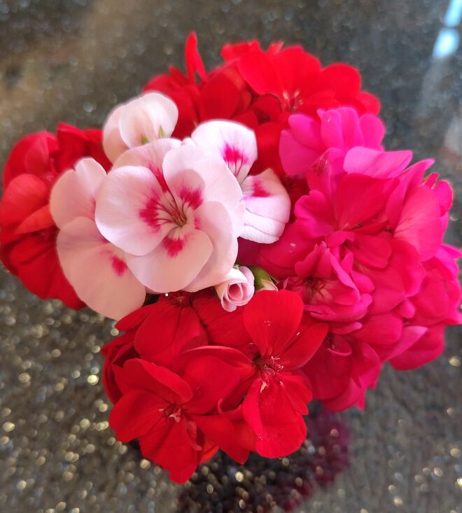 Letzte Sommergrüße