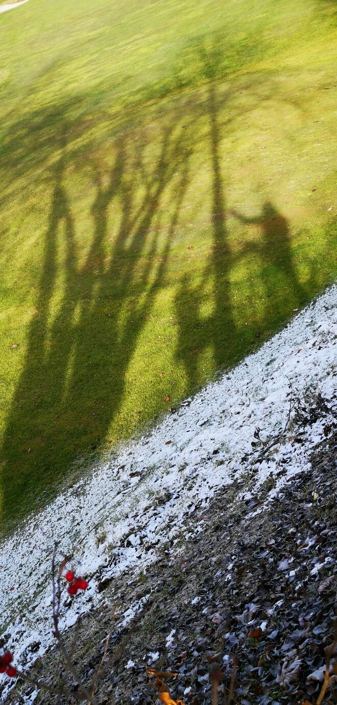 Herbstliche Schattenspiele