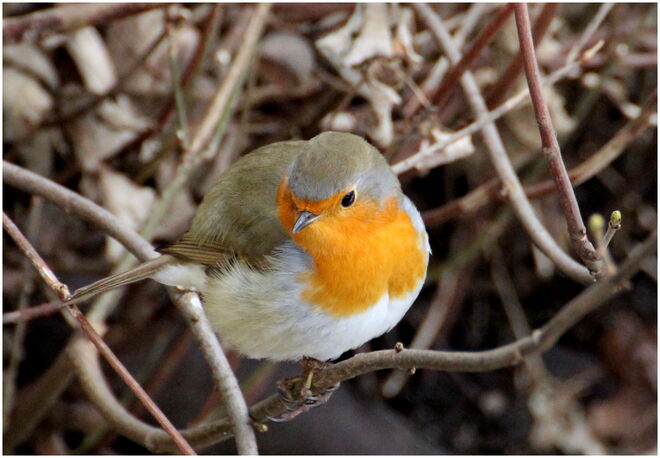 * ein windgeschütztes Platzerl *