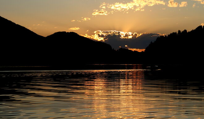 Einen Moment in goldenes Licht getaucht