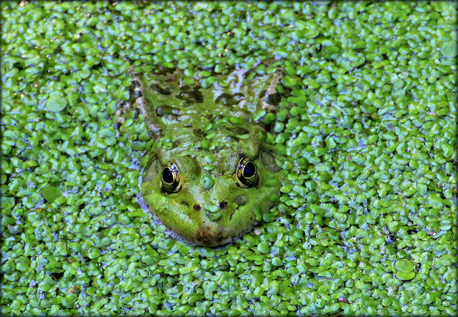* alles im grünen Bereich *