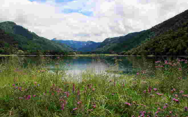 Blumenmeer zur Sonntagsstimmung am Hintersee