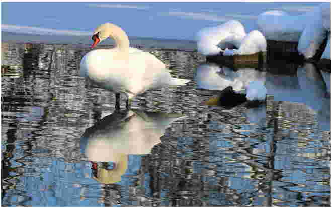 * Winterzauber am St.Peter- Weiher *