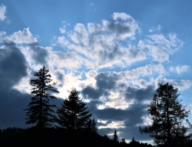 Abend beim Prebersee