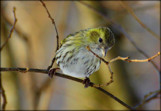 Was ist da unten los ?