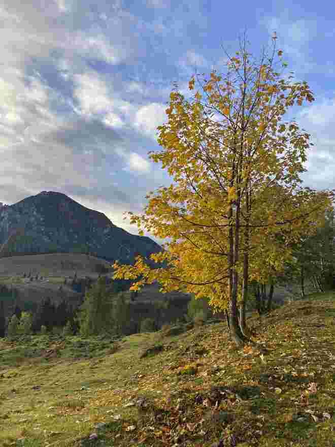 Herbststimmung 