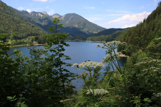 Blick über den Schwarzensee