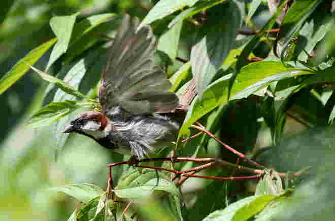 "uuuund Abflug"
