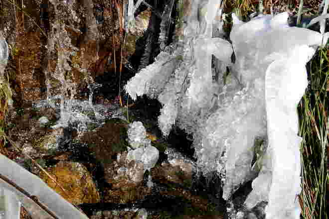Lebendig, spritzig - und daneben starr in Eis gehüllt.