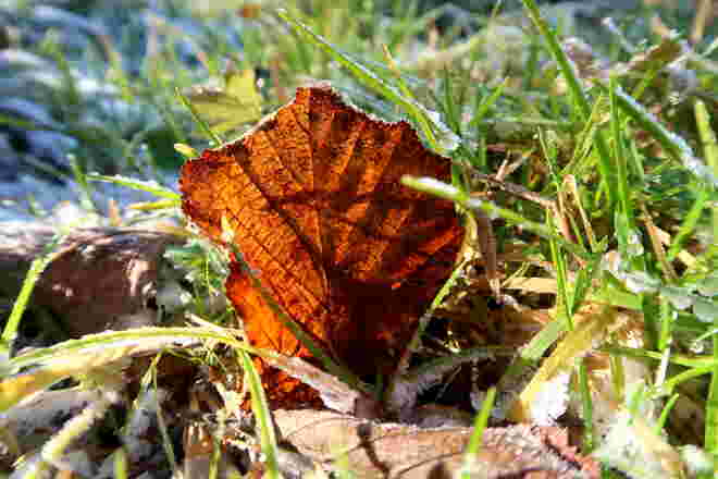 Väterchen Frost ergibt sich den wärmenden Strahlen der Sonne