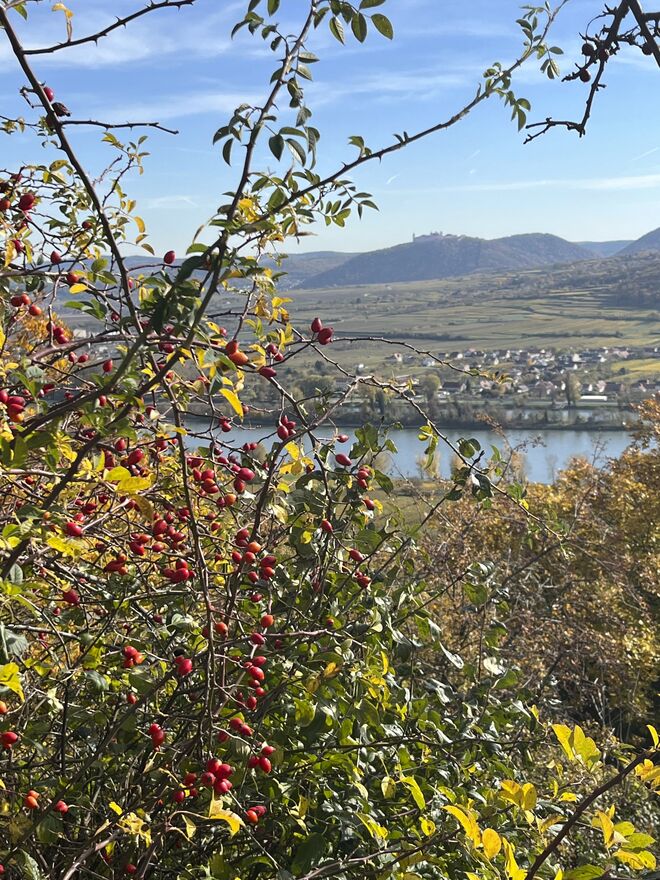 Hetschepetsch und Stift Göttweig